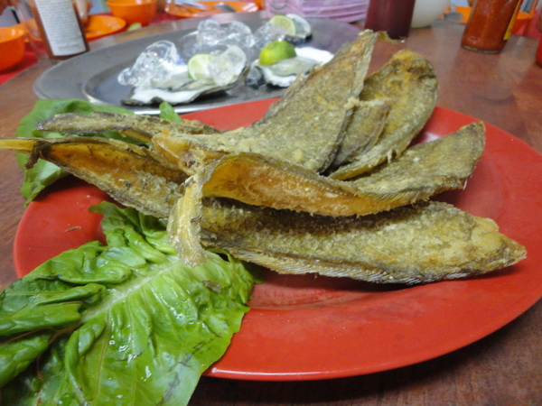 DSC02401_resize