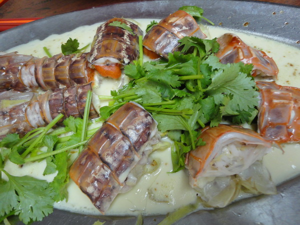 DSC02408_resize
