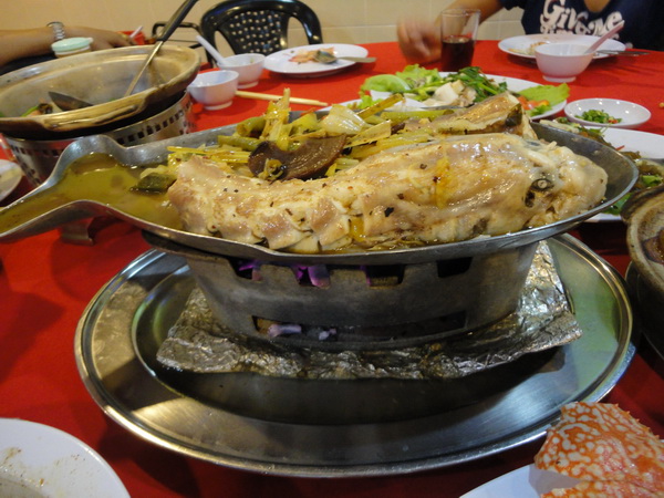 DSC02554_resize