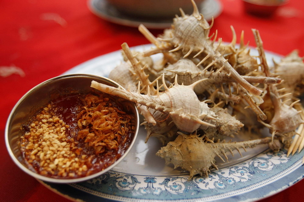 siput