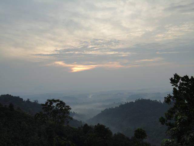 DSC04237