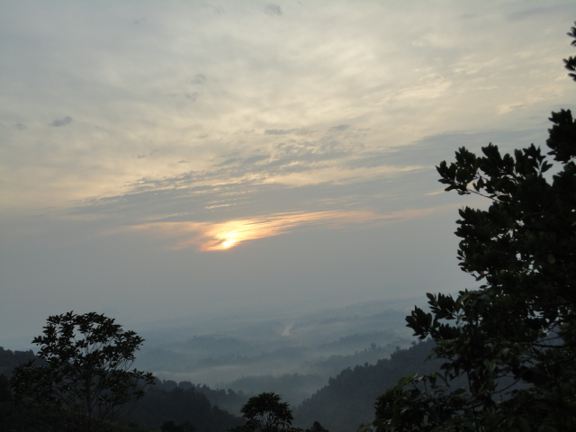 DSC04239