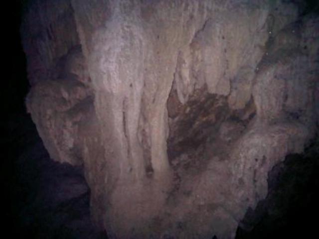 IMG01665-20110628-1400